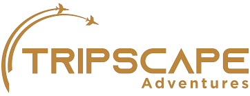 TripsCapeTourism Dubai