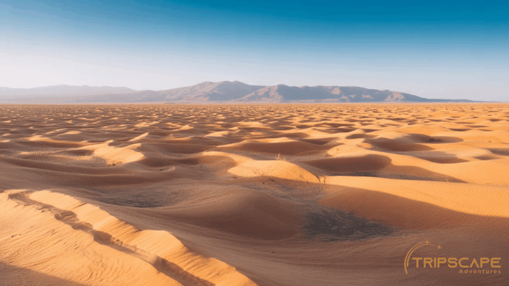 Desert Open Landscape