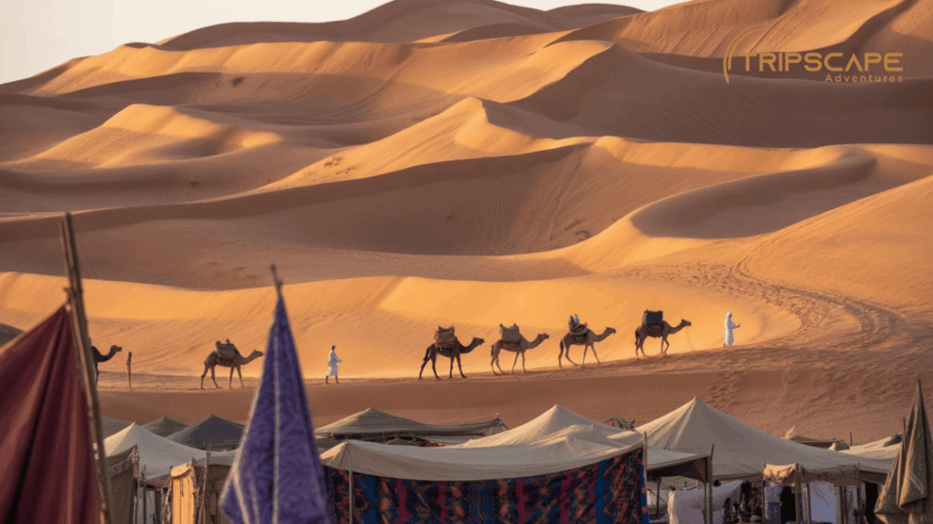 Sand Dunes with Wind Lines