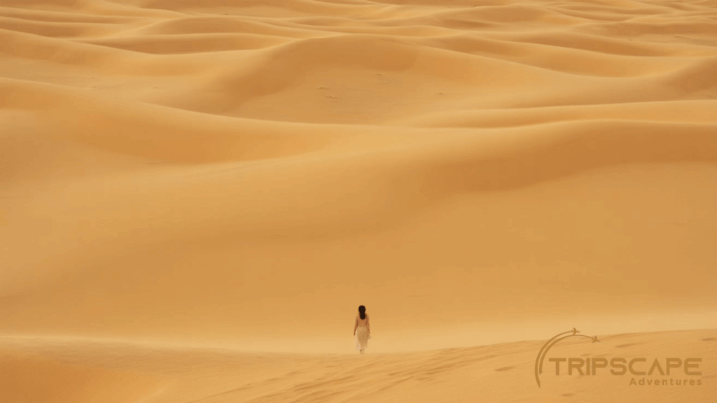 Wide Landscape With Small Subject